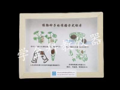 植物種子傳播方式標本