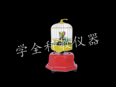 籠中鳥(niǎo)