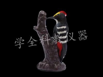 啄木鳥(niǎo)仿真模型